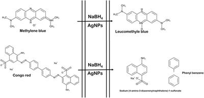 Phyto-fabrication of silver nanoparticles and their catalytic dye degradation and antifungal efficacy